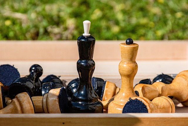 竞技体育的 竞技体育的