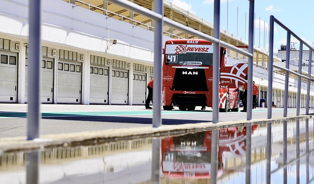 使莱奥能够 使莱奥能够