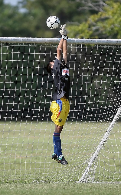 了一個展示 了一個展示