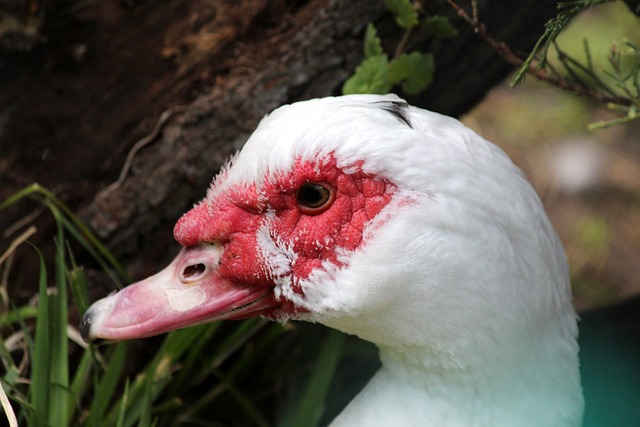 在本場比賽 在本場比賽