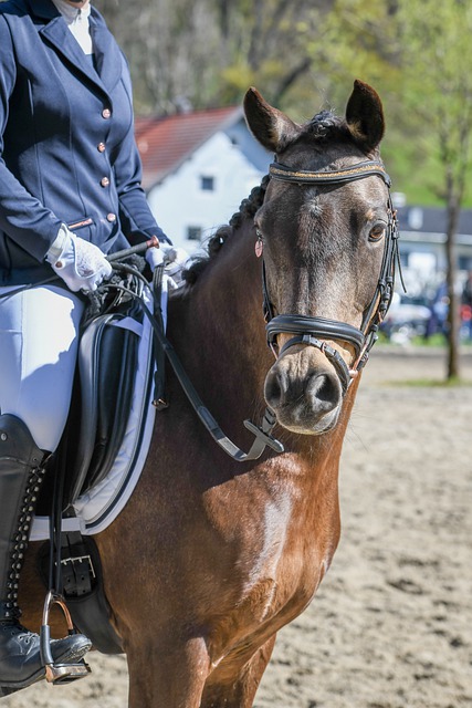 然而本赛季 然而本赛季