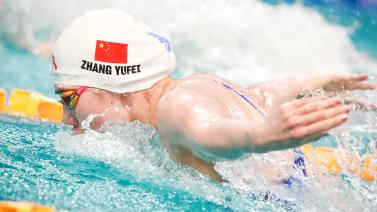 都能成为稳 都能成为稳