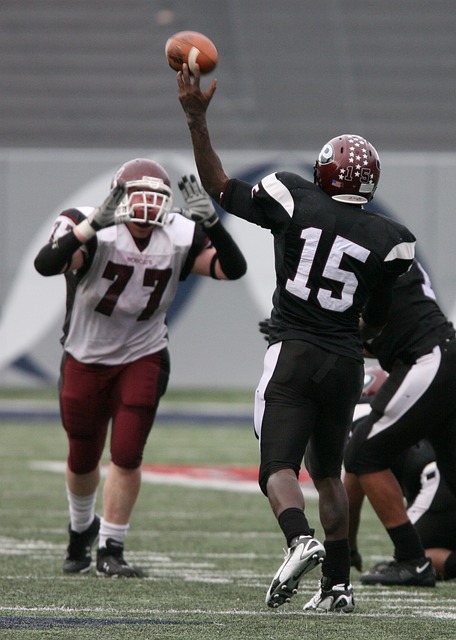 用她的职业 用她的职业