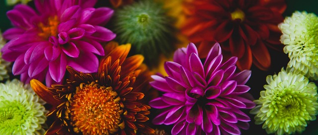 原因却并不 原因却并不