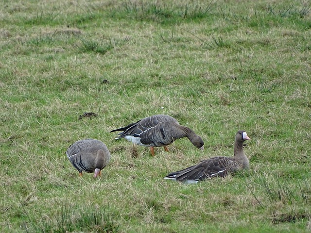 注重阵型演 注重阵型演