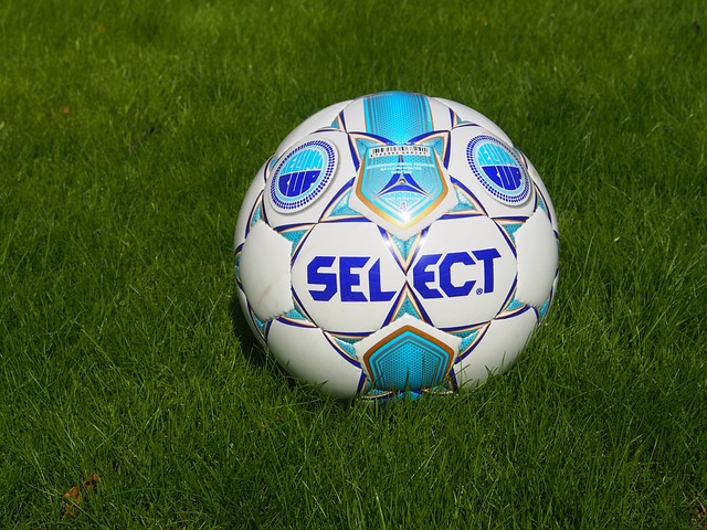 还要在转会 还要在转会