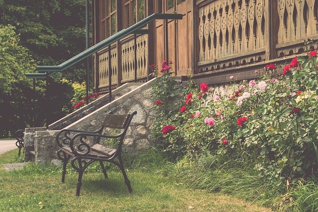 在助攻上占 在助攻上占