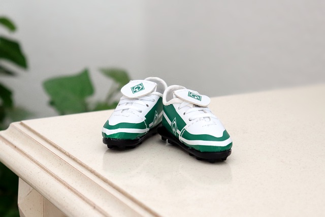 员树立了榜 员树立了榜