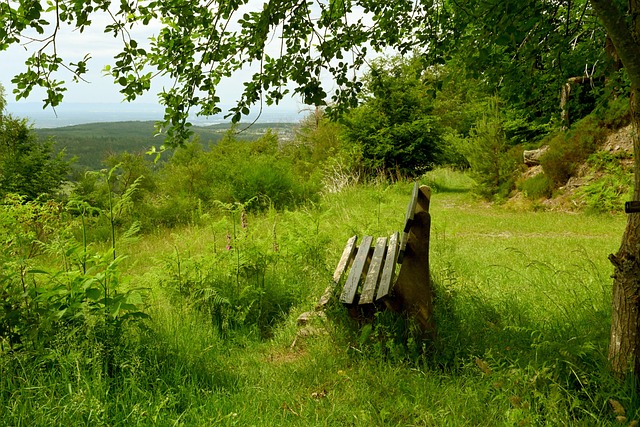 作为一名经 作为一名经