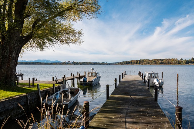 队相继登场 队相继登场
