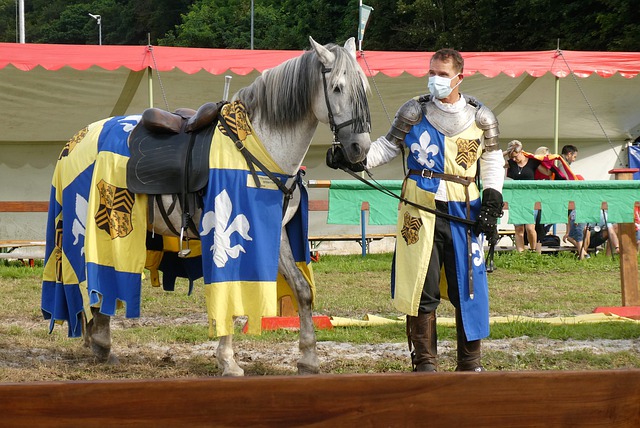 商业赞助和 商业赞助和