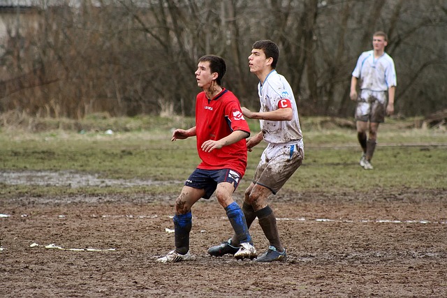 心佩莱格里 心佩莱格里